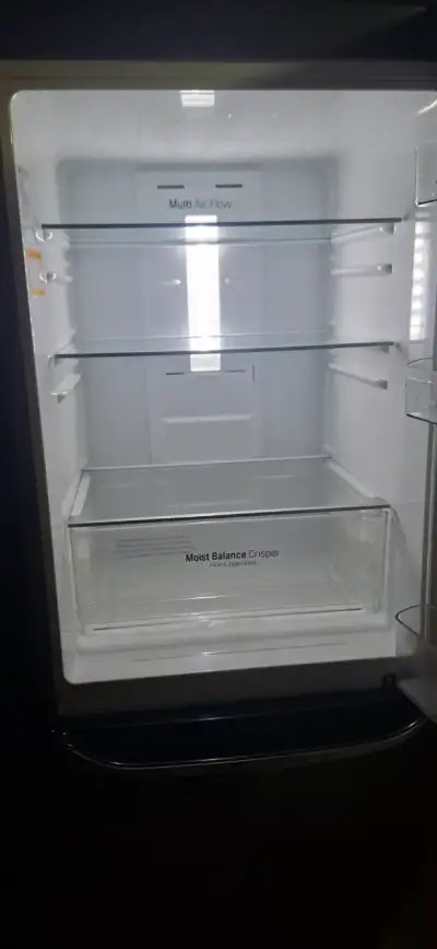 Refrigerador LG Inverter con Compresor Lineal - miniatura 4