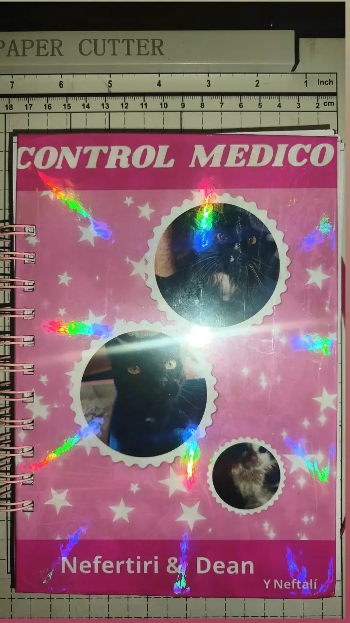 Control Médico para Mascotas Personaliz - 1