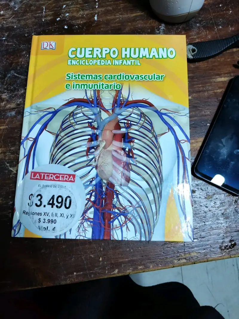 Enciclopedia Infantil Cuerpo Humano DK - 4