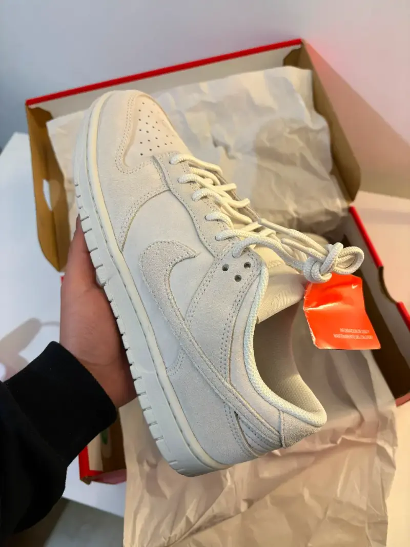 Nike Dunk Low Retro SE