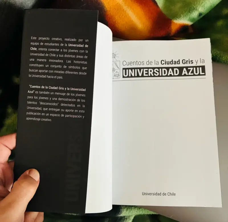 Libro Cuentos de la Ciudad Gris y la Universidad Azul - 2