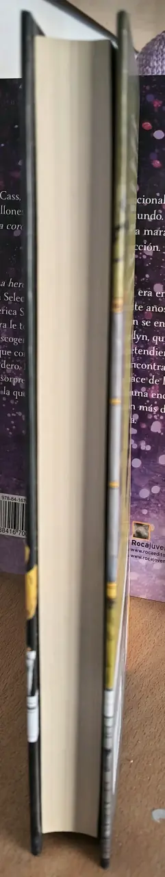 La Carta, la Bruja y el Anillo - John Bellairs - 4