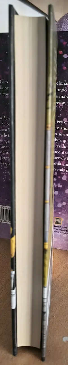La Carta, la Bruja y el Anillo - John Bellairs - miniatura 4