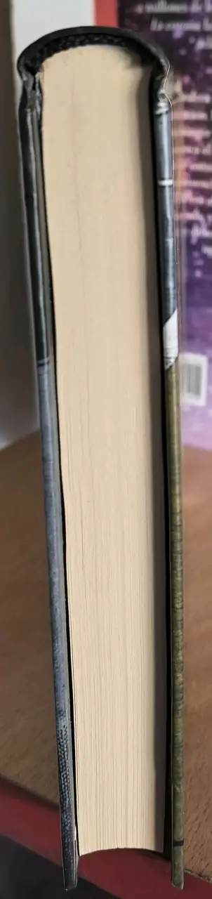 La Carta, la Bruja y el Anillo - John Bellairs - 5