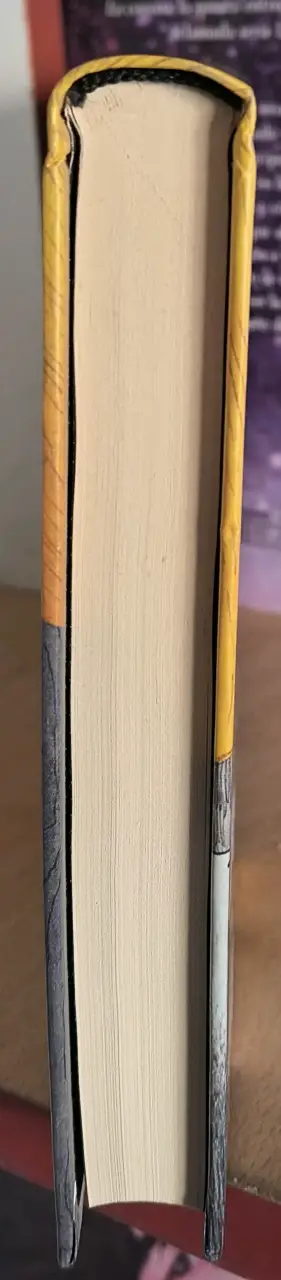 La Carta, la Bruja y el Anillo - John Bellairs - miniatura 6