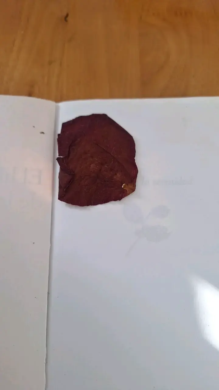 'El libro de la serenidad' de Catherine Rambe - 4