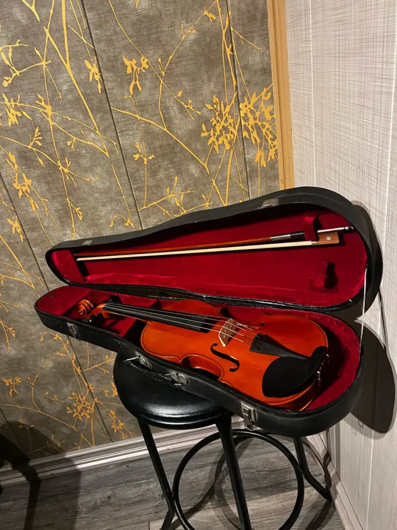 Violín con estuche rígido y arco - 1