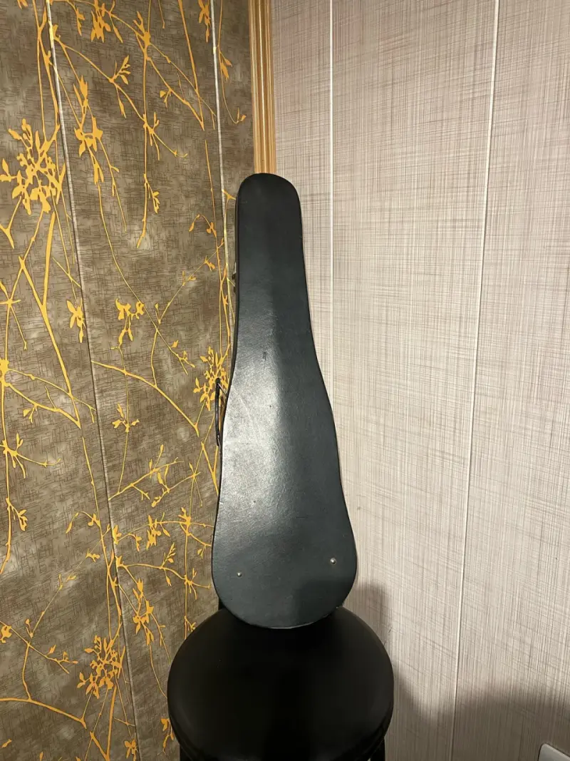 Violín con estuche rígido y arco - 2