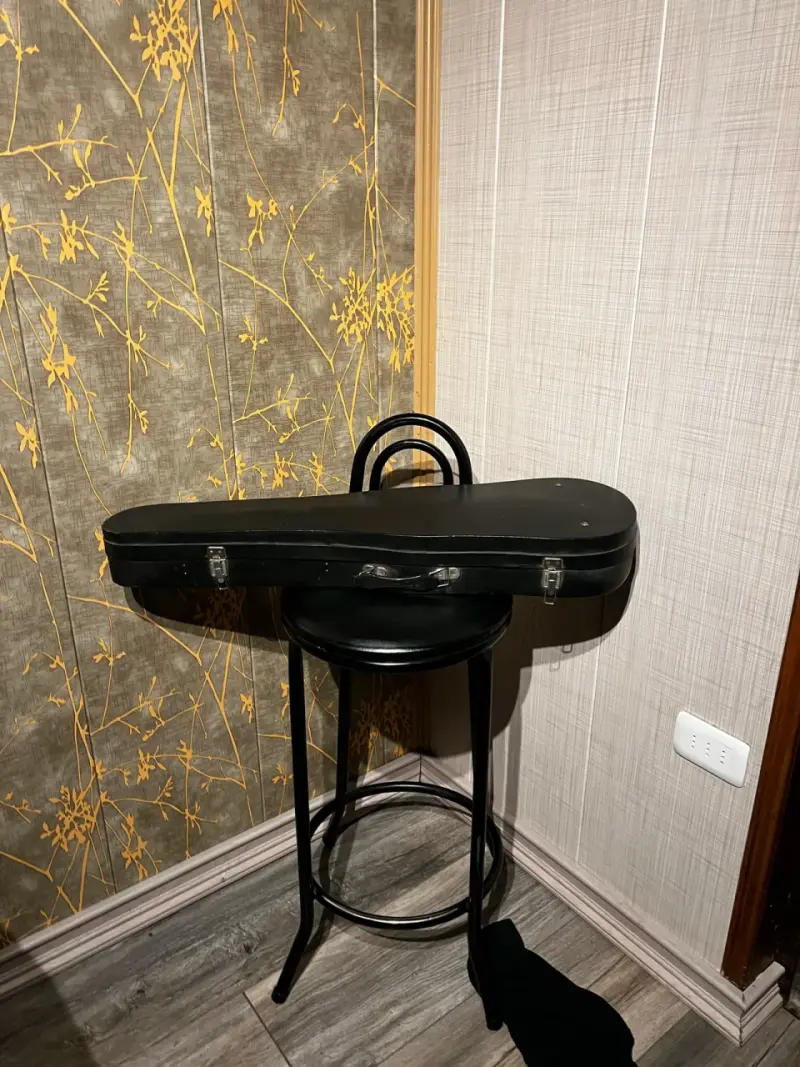 Violín con estuche rígido y arco - 3