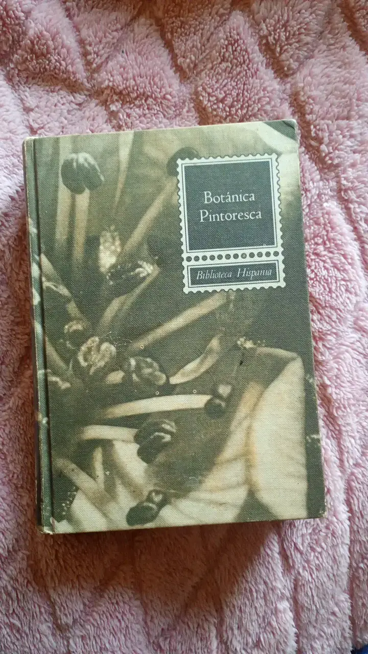 Libro antiguo de botánica con ilustraciones - 5