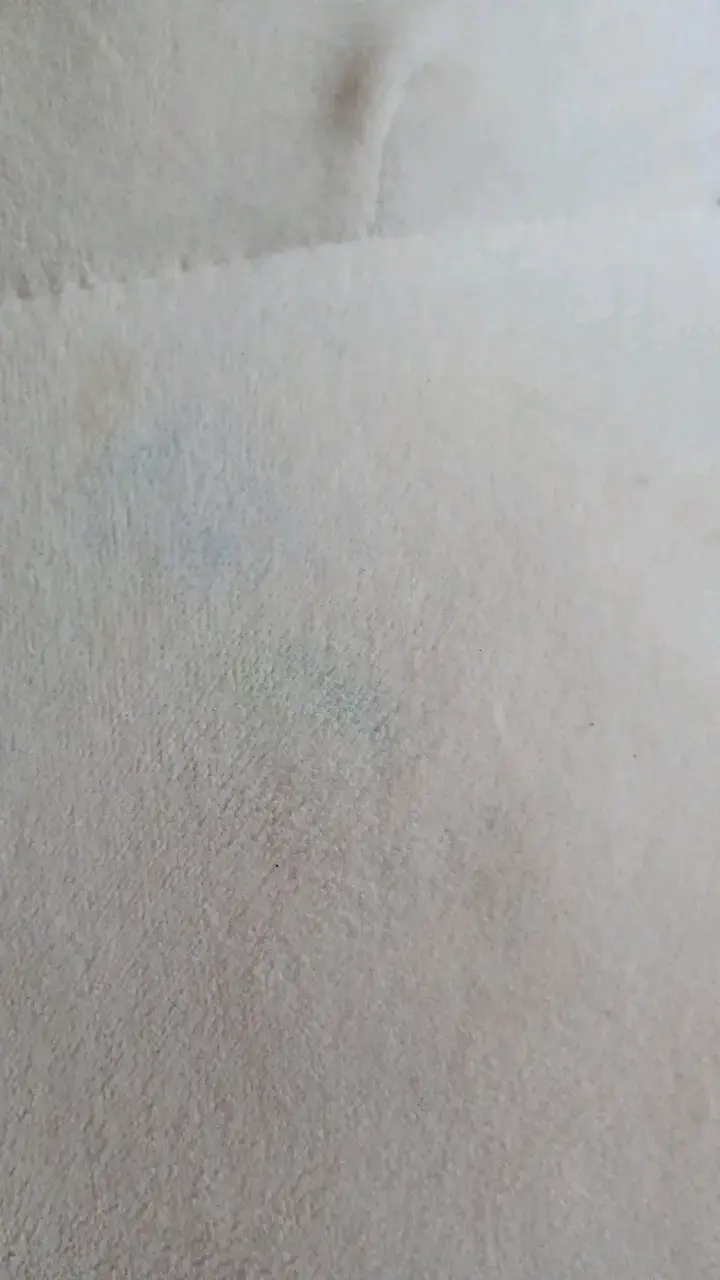 Peluche de pingüino grande y suave - 3