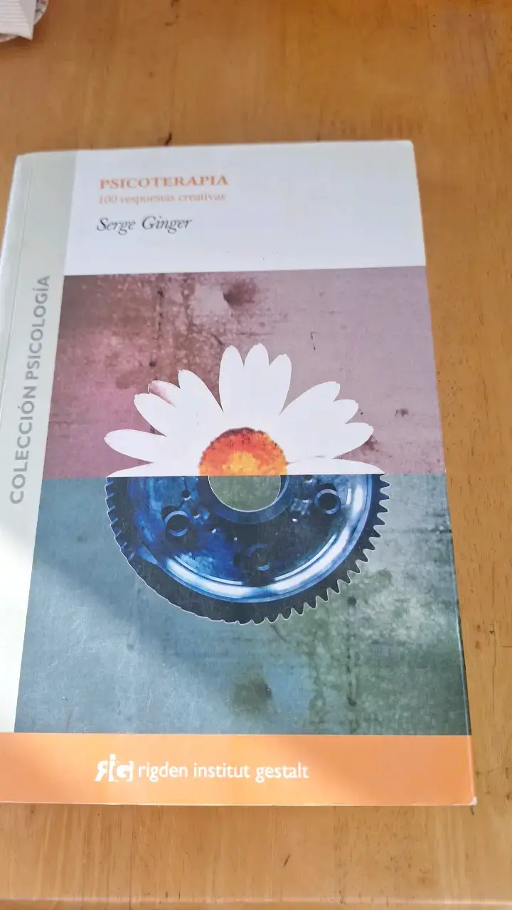 Psicoterapia 100 Respuestas Creativas Serge G