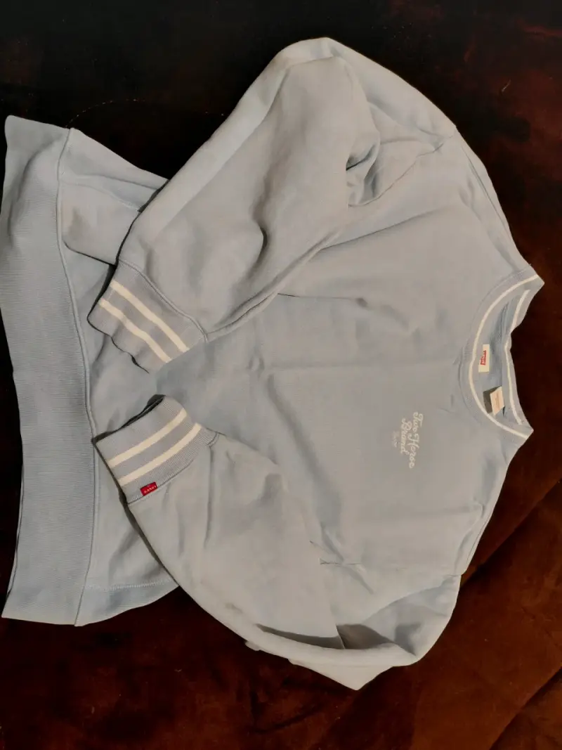 Polerón azul claro Levi's con diseño bordado - 1