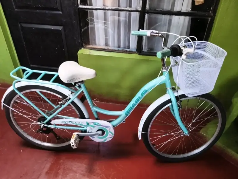 Bicicleta Brabus Spring 26" verde con canasto - 1