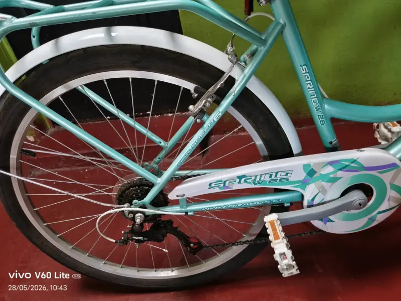 Bicicleta Brabus Spring 26" verde con canasto - 6