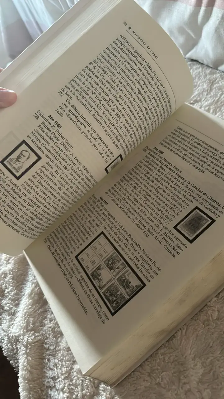 Libro Mariposas de Papel de Graciela Nieto Ortiz - 3