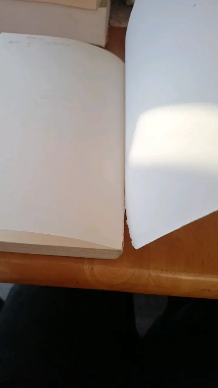 Libro Pepitas de Oro de José E. Guraieb - 4