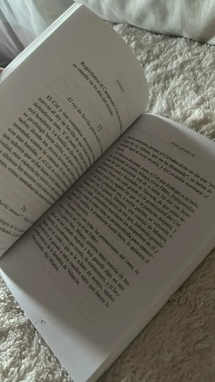 Libro Poema de Mío Cid Anónimo Zig-Zag - 3