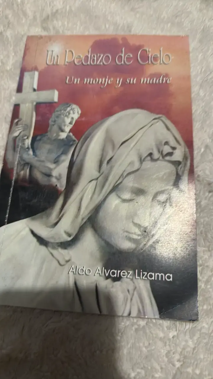 Libro Un Pedazo de Cielo de Aldo Alvarez Lizama - 1