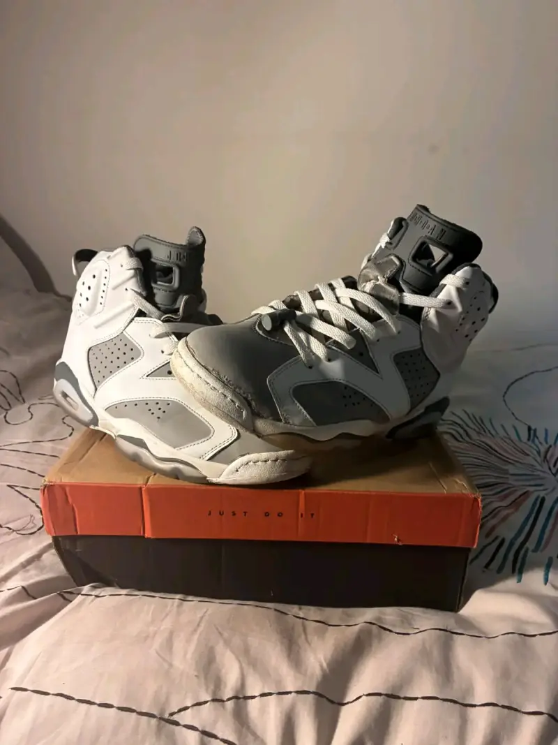 Jordan 6 cool grey - 3