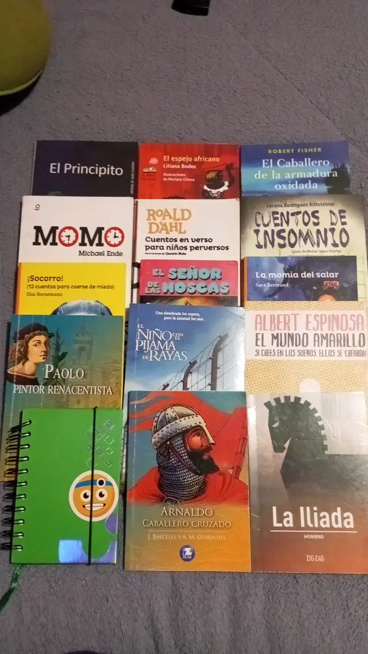Lote de libros variados para jóvenes y adultos - 2