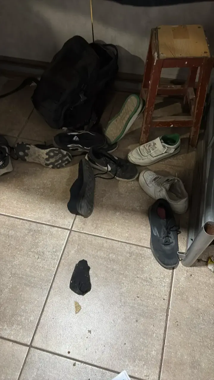 Zapatillas