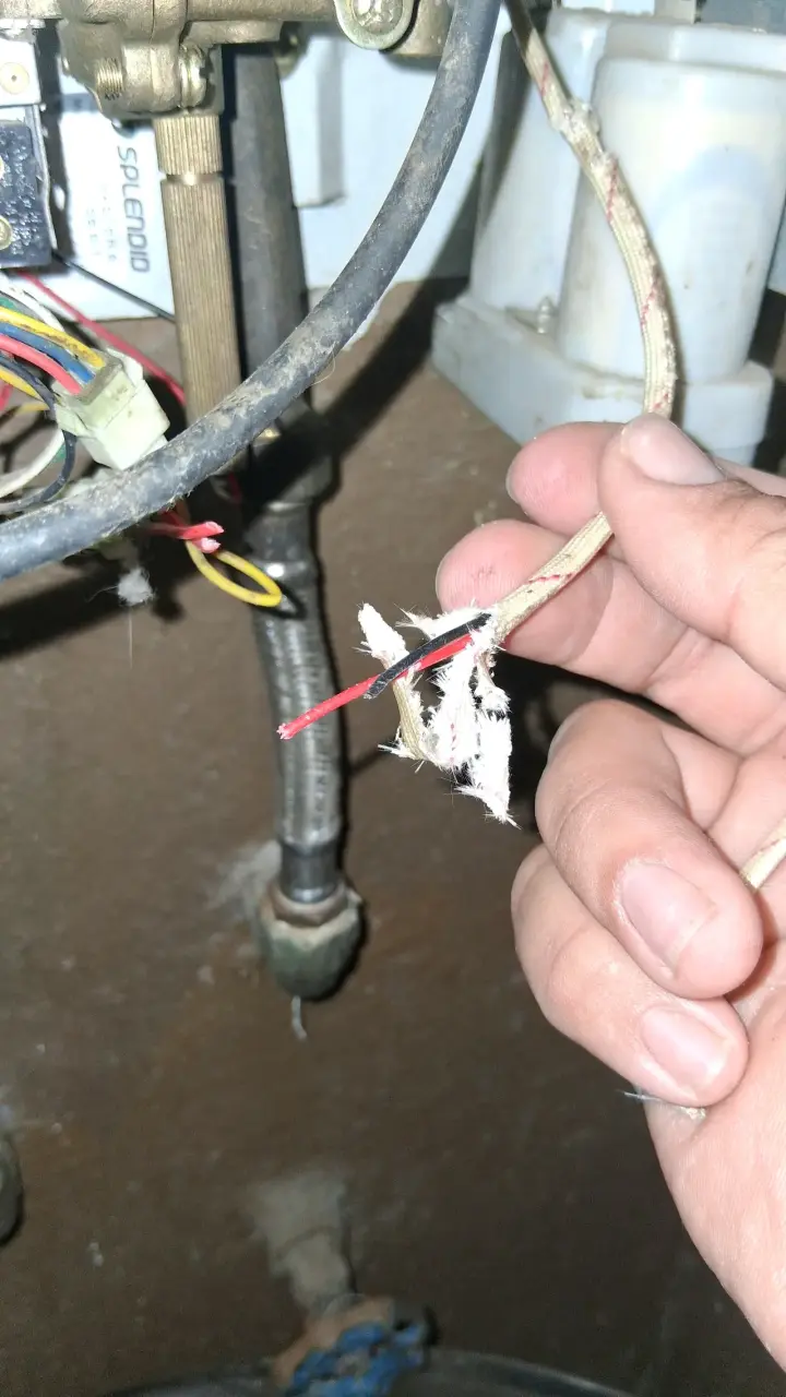 Servicio de mantenimiento de calefont Splendid - 3