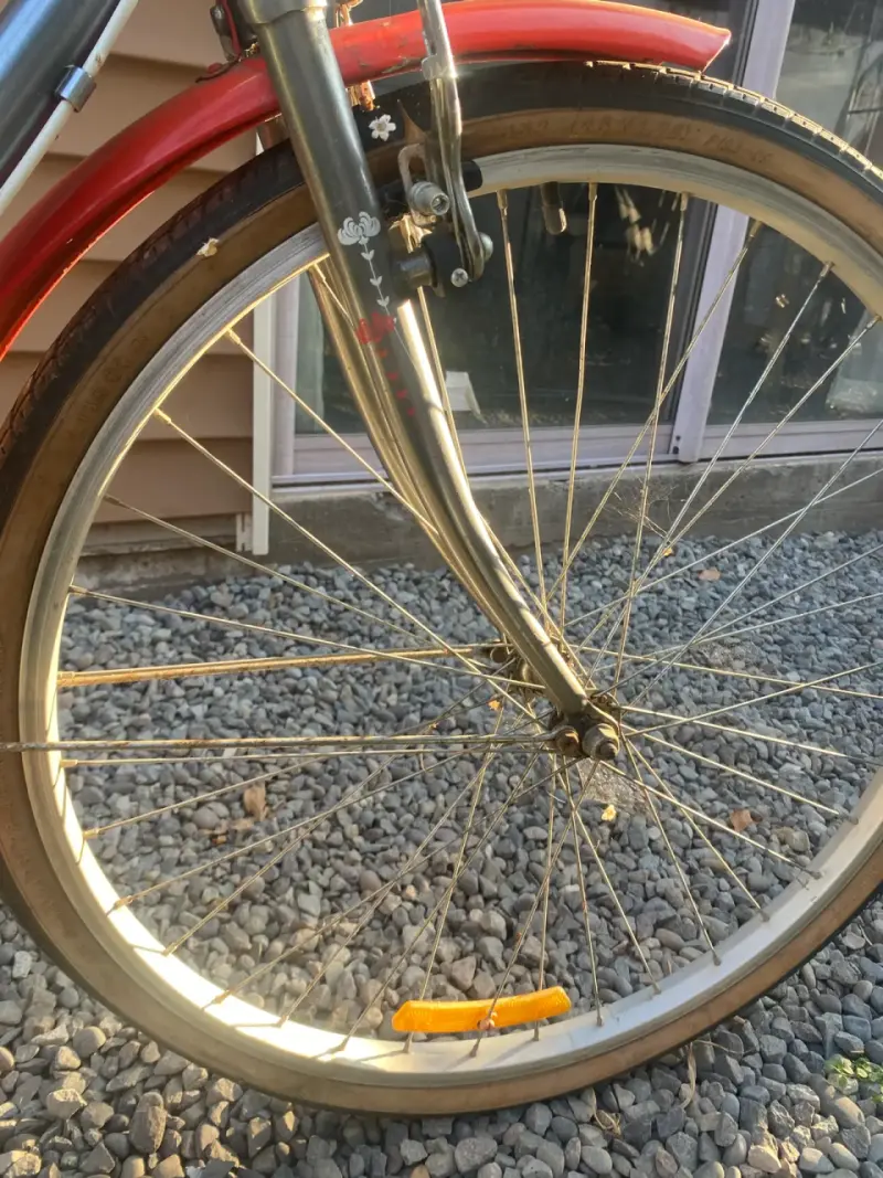 Bicicleta urbana Oxford Cyclotur - 3