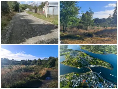 Vendo sitio de 4.000 mts2 - miniatura 2