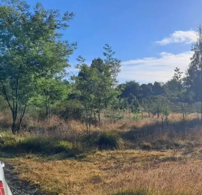 Vendo sitio de 4.000 mts2 - miniatura 4