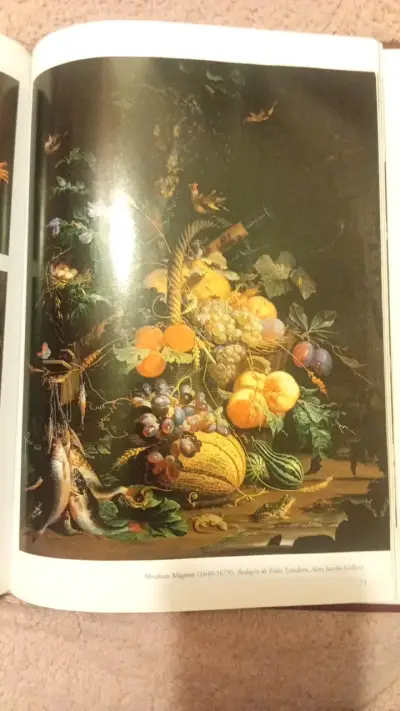 Libro 'La Luz en la Pintura' con ilustraciones - miniatura 5