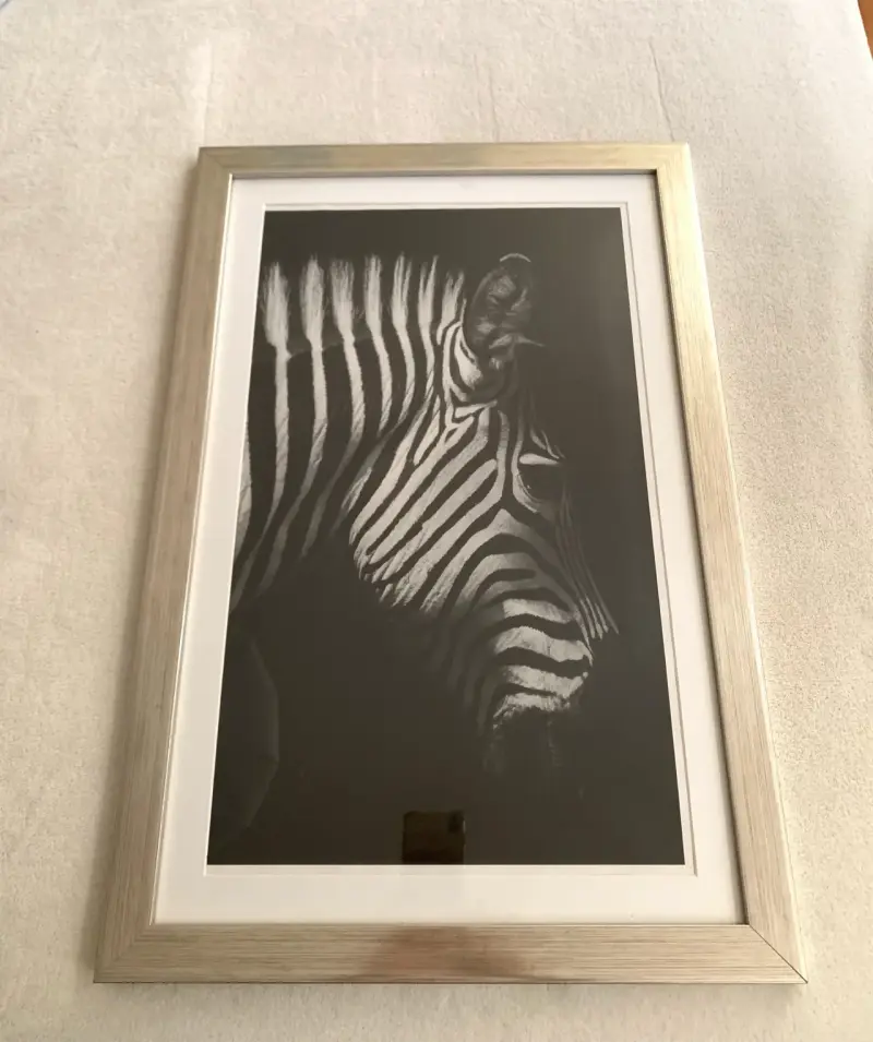 Cuadro Decorativo de Cebra en Blanco y Negro - 1