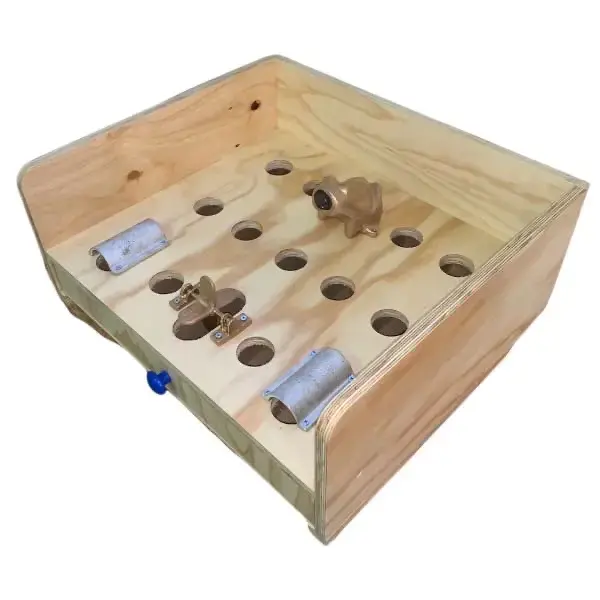 Juego de la rana - 2