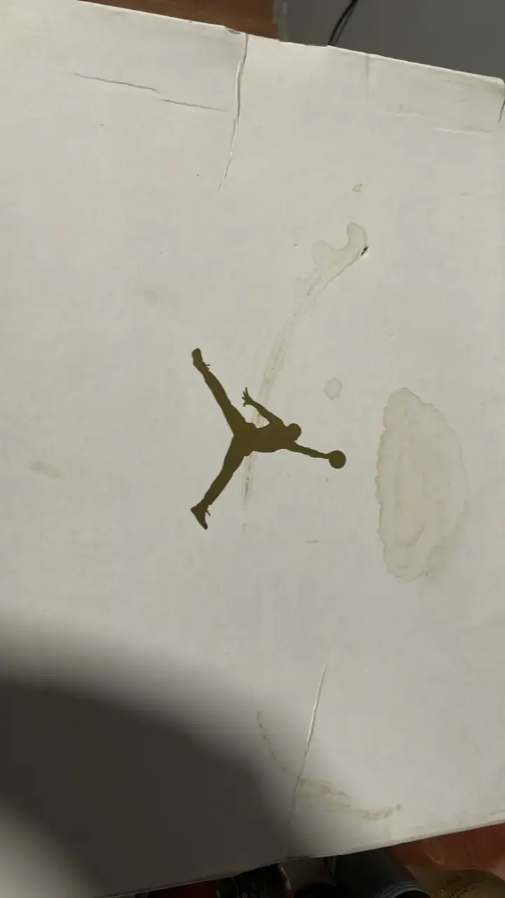 Zapatillas Air Jordan mujer - 5