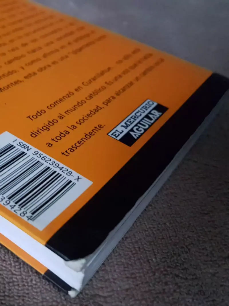 Libro 'Todo comenzó en Curanilahue' de Felipe Berríos - 4