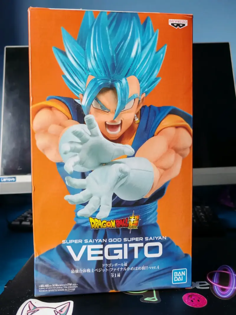 Vegito Super Saiyan God