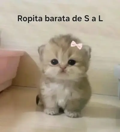 Ropita de mujer barata. - miniatura 1