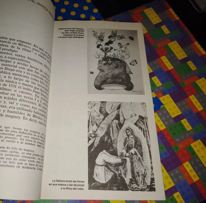 El Misterio De Guadalupe - J. J. Benítez - 6