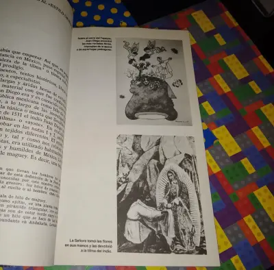 El Misterio De Guadalupe - J. J. Benítez - miniatura 6