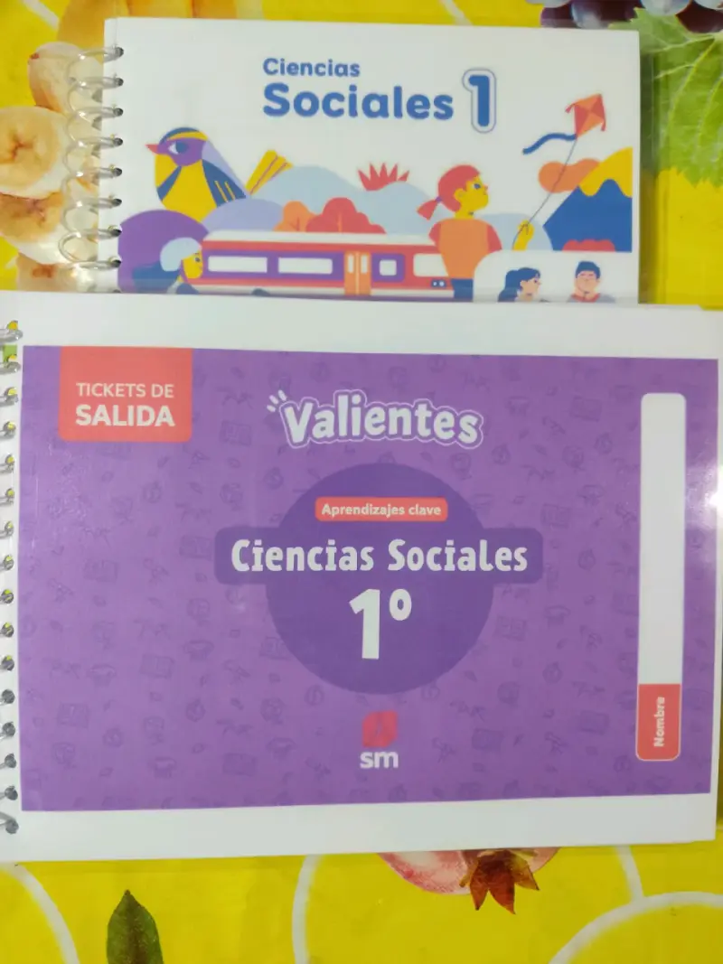 Valientes 1° Básico SM - 2