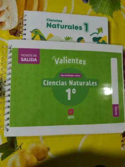 Valientes 1° Básico SM - miniatura 4
