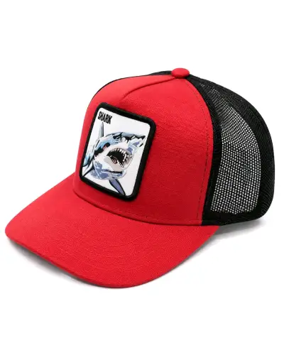 Gorras con diseños bordado - miniatura 4