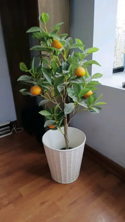 Árbol artificial decorativo con maceta blanca - miniatura 1