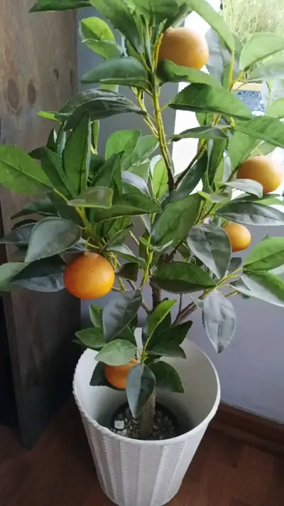 Árbol artificial decorativo con maceta blanca - miniatura 5