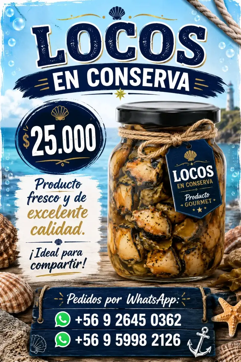 Locos en conserva gourmet de excelente calidad