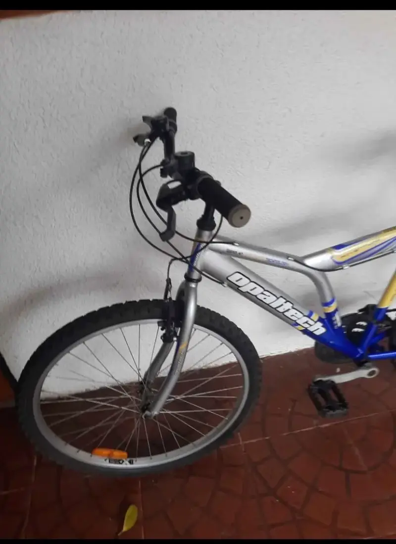 Bicicleta Montaña Aro 26 Opaque Adventure - 2