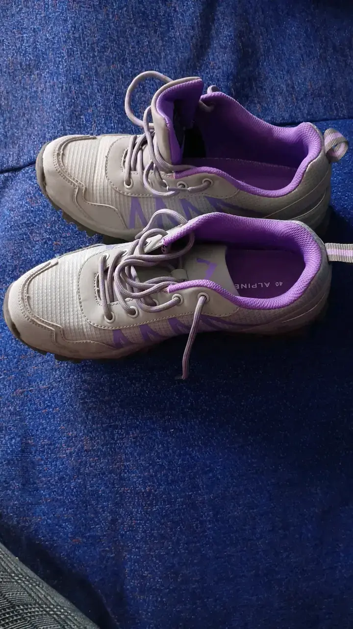 Zapatillas de trekking Alpina gris y morado - 1