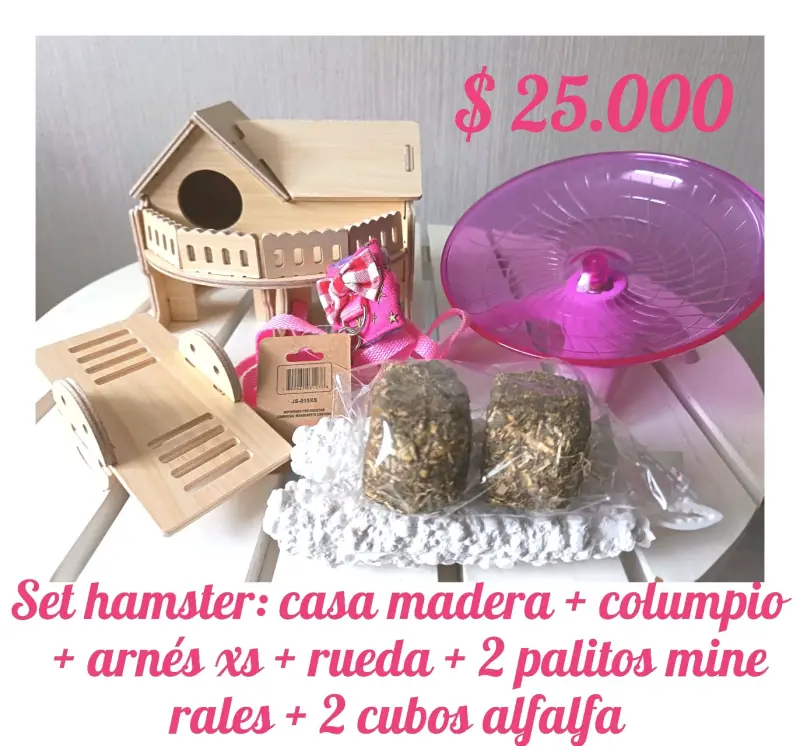 Set de accesorios para hámster con casa y rueda