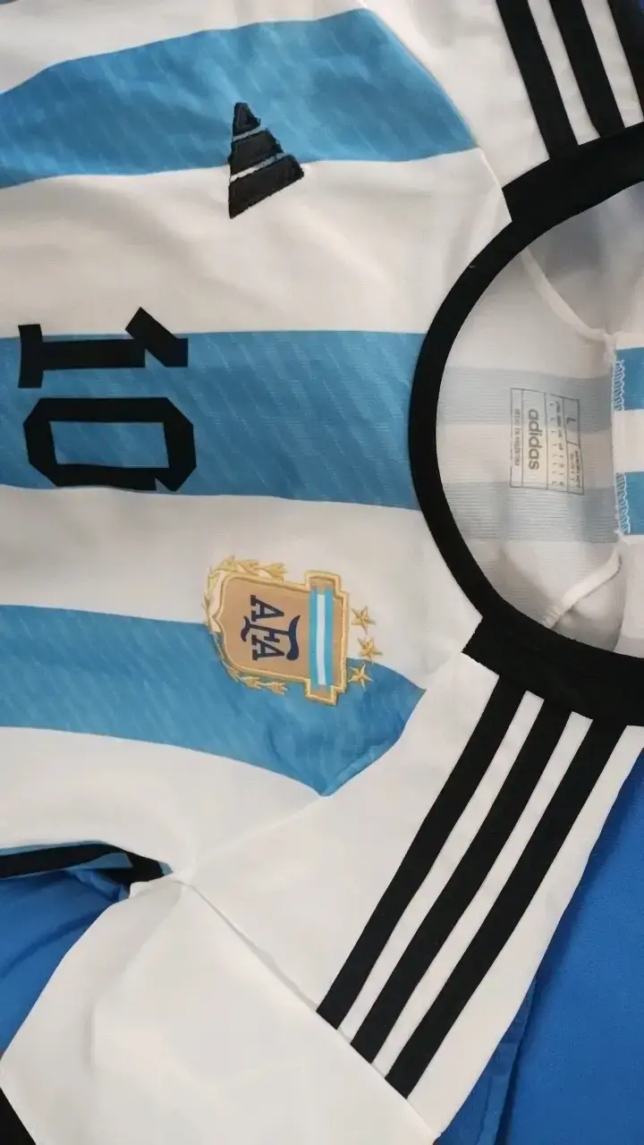 Camiseta Selección Argentina talla L - 2