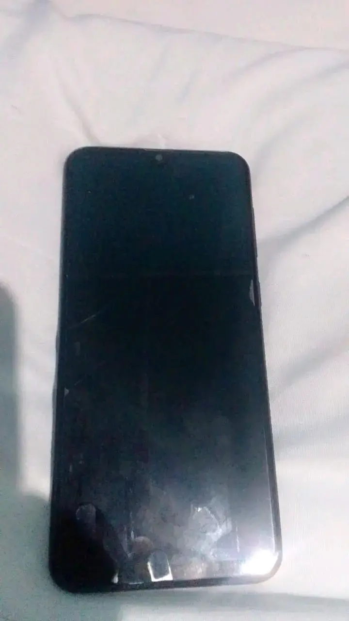 Smartphone Samsung con doble cámara trasera - 2